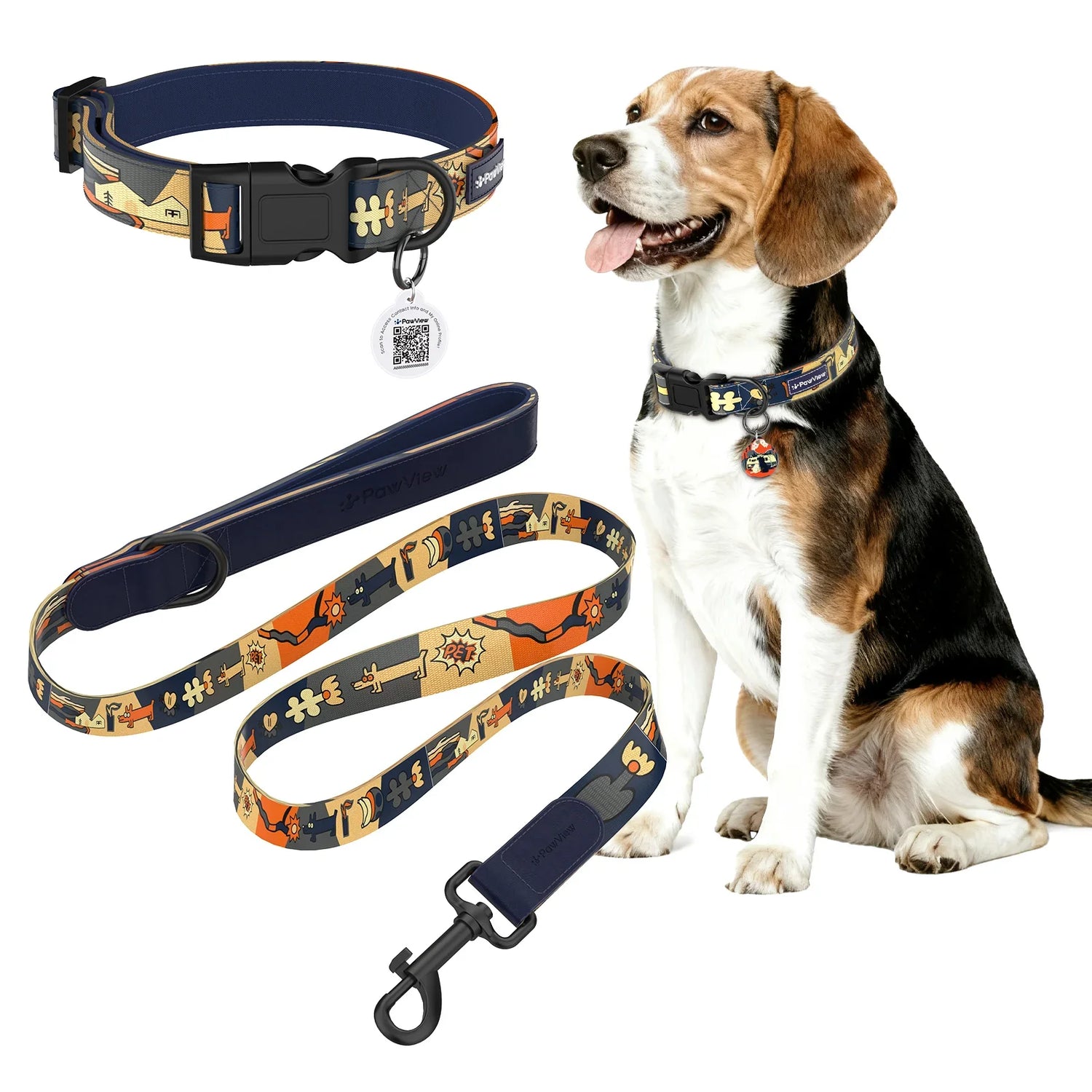 Collars & Leashes
